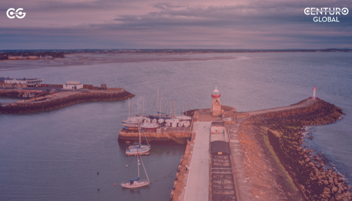 Irish business setup requirements and procedures