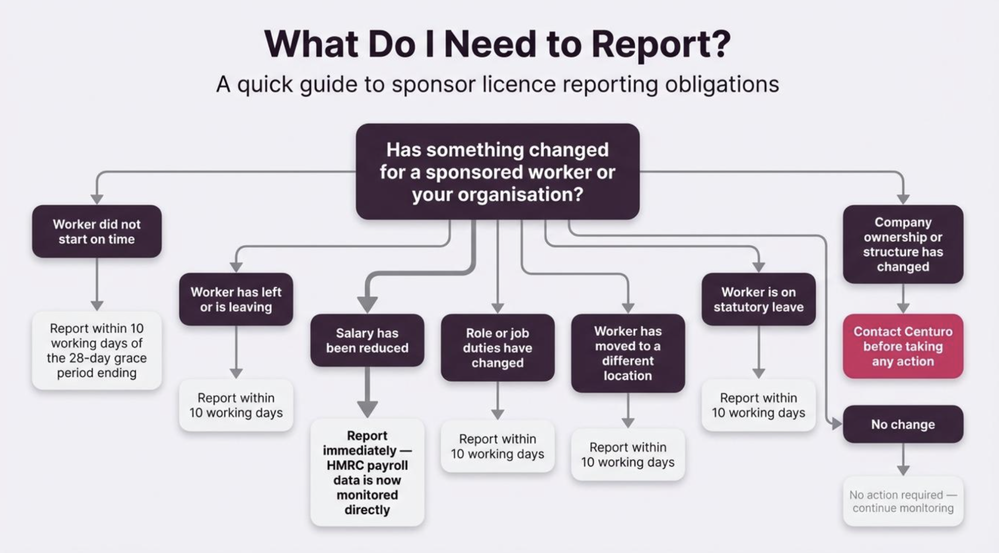What to report overview